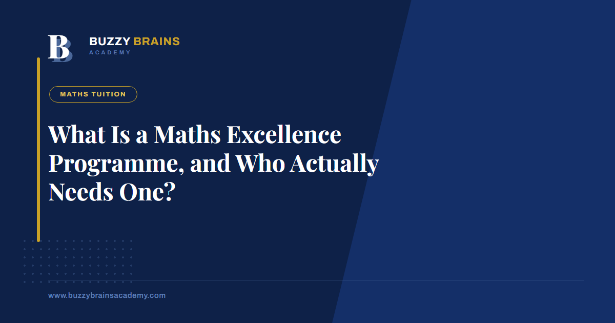 What Is a Maths Excellence Programme, and Who Actually Needs One?
